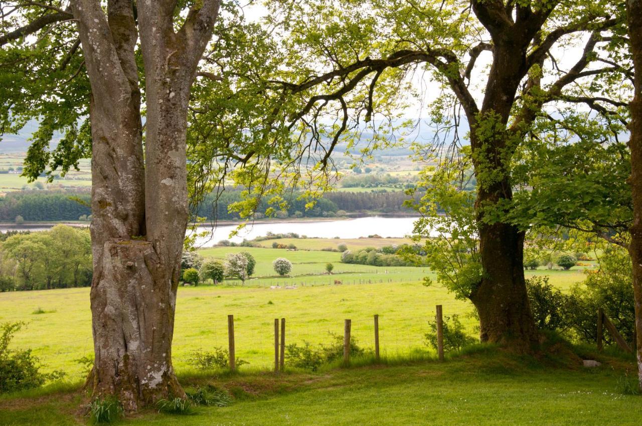 Abhainn Ri Cottages Blessington Buitenkant foto