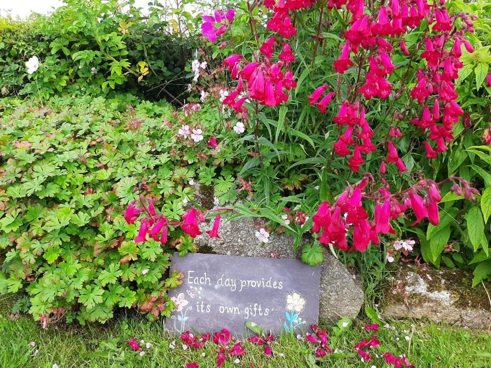 Abhainn Ri Cottages Blessington Buitenkant foto