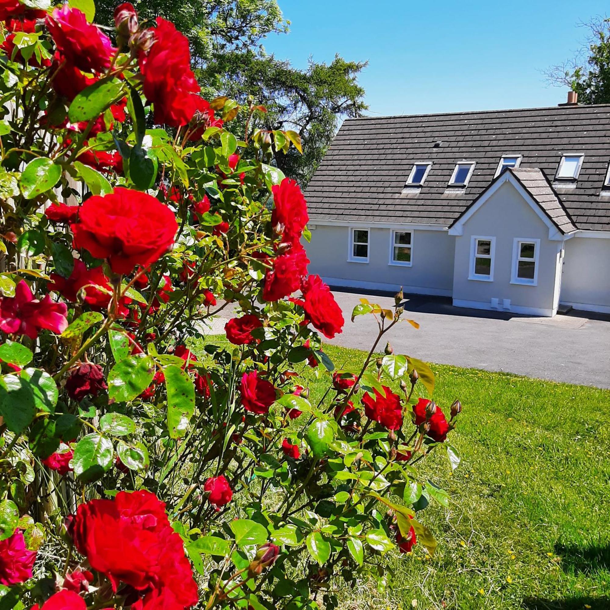 Abhainn Ri Cottages Blessington Buitenkant foto