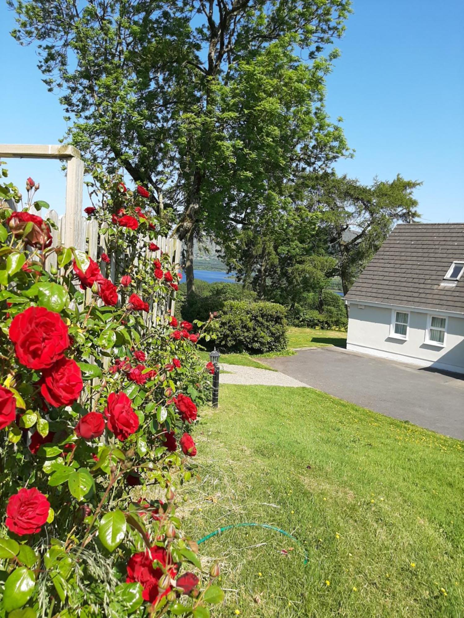 Abhainn Ri Cottages Blessington Buitenkant foto