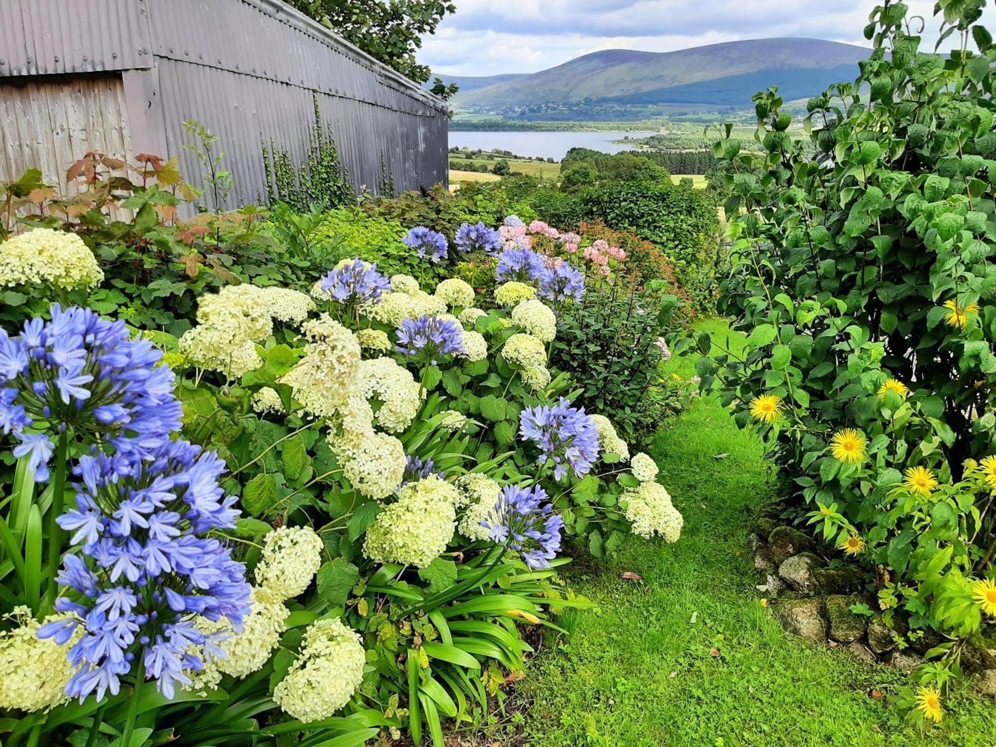 Abhainn Ri Cottages Blessington Buitenkant foto