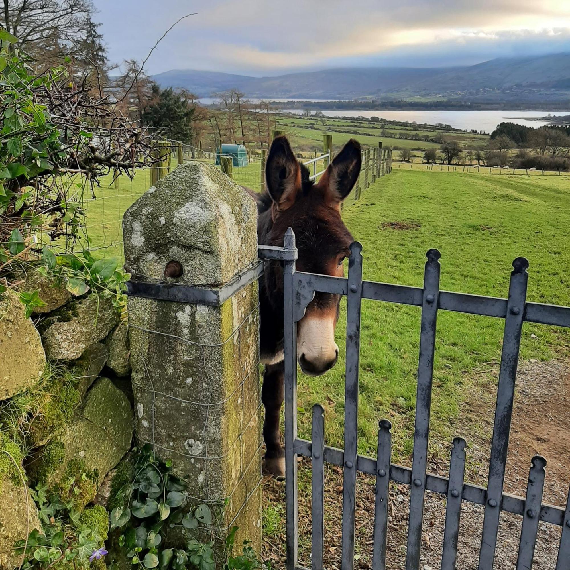 Abhainn Ri Cottages Blessington Buitenkant foto